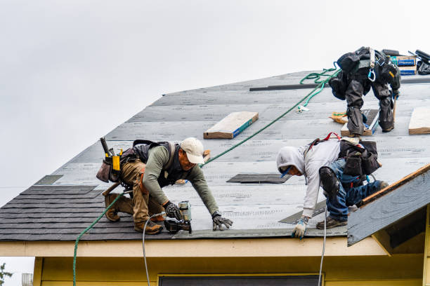 Professional Storm Damage Roof Repair technician working in Fairland, IN